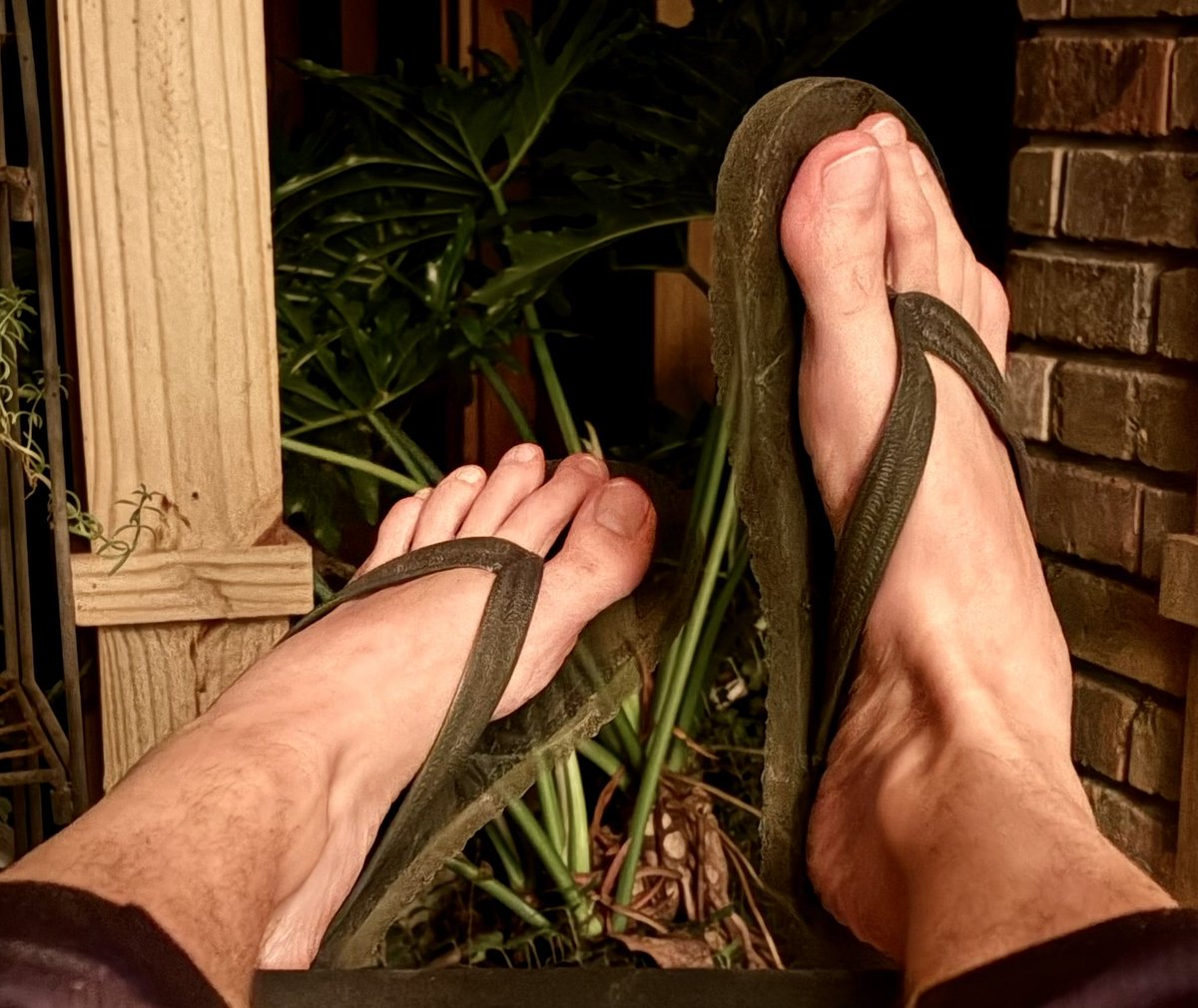 texastoesss's tweet photo. Floppin’ around tn  🩴🦶🏼🌝✨
#feet #feetfetısh #feetworshi̇p #feetmaster #feetpic #foot #footfetısh #toes https://t.co/kMWWg9ODYY