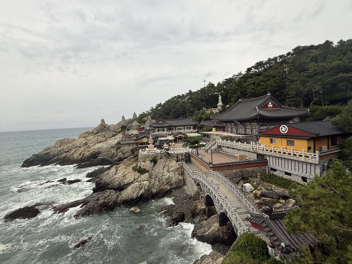 mingrihai_'s tweet photo. 朝イチで海東龍宮寺へ。早い時間で人が少ないから自由に回れて良かった。

天気が良ければもっと綺麗だったろうにという気持ちとこれ以上暑かったら無理という気持ちの戦い😂 https://t.co/R9fhgwfpMH