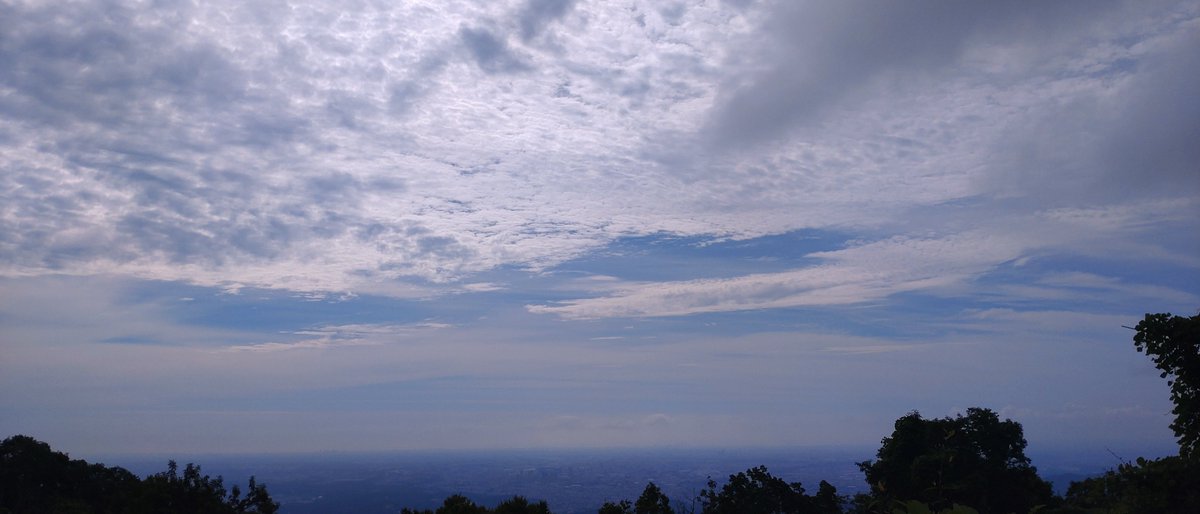 tokerusio's tweet photo. 高尾山20260809 https://t.co/sKRtFSGIrY