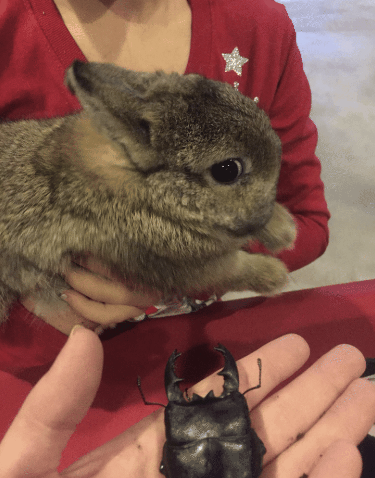 Sigmafur's tweet photo. What is that thing...? https://t.co/waJ4Noo8iR