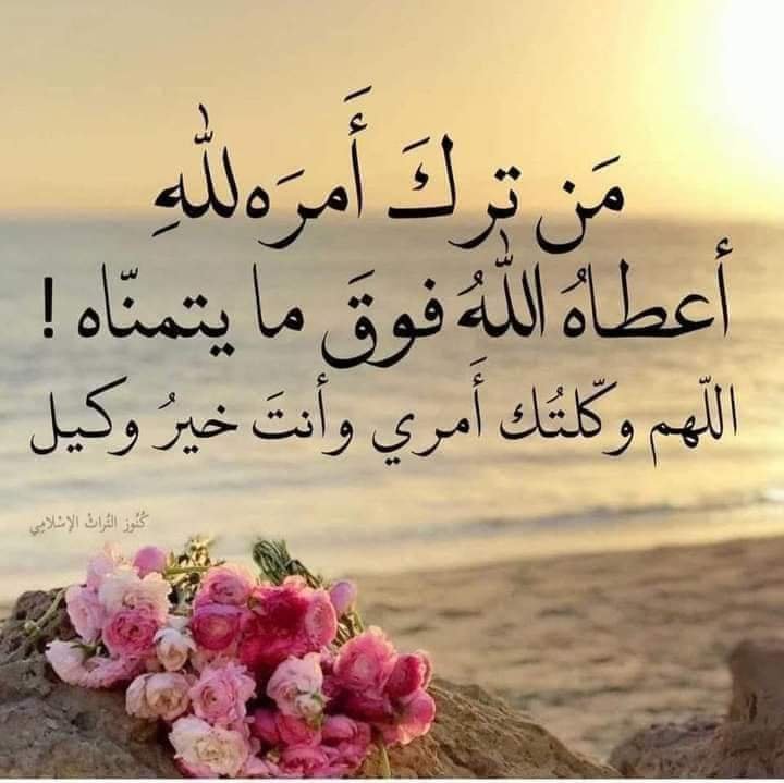 alsafir_2023's tweet photo. أصبحنا وأصبح الملك لله

اللهم أبدل قلقنا سكينة  و همّنا انشراحاً  و سخطنا رضى  و خوفنا طمأنينة و عجزنا قُدرة  و ضيقنا فرحاً و عُسرنا يُسراً  و ضعفنا قوة.🤲🍂

#صباح_الخير_والسعاده_للجميع
#رسالة_اليوم
#اللهم_صل_وسلم_على_نبينا_םבםבﷺ https://t.co/lxHN8OOW43