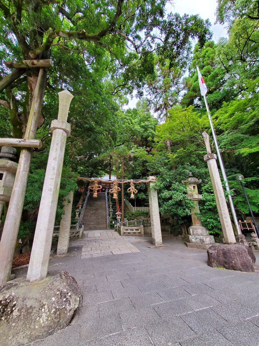 527pjj's tweet photo. 枚岡神社きてハイキングコース登って頑張ればあと少しで登りきれたけど
メチャクチャ蜂がいて刺されそうだし体力やばそうだから
途中で断念
メチャクチャ足や体に巻き付いてきたからヒヤヒヤした…今の時期に行ったらアブねぇ https://t.co/KnpOp0TmkV