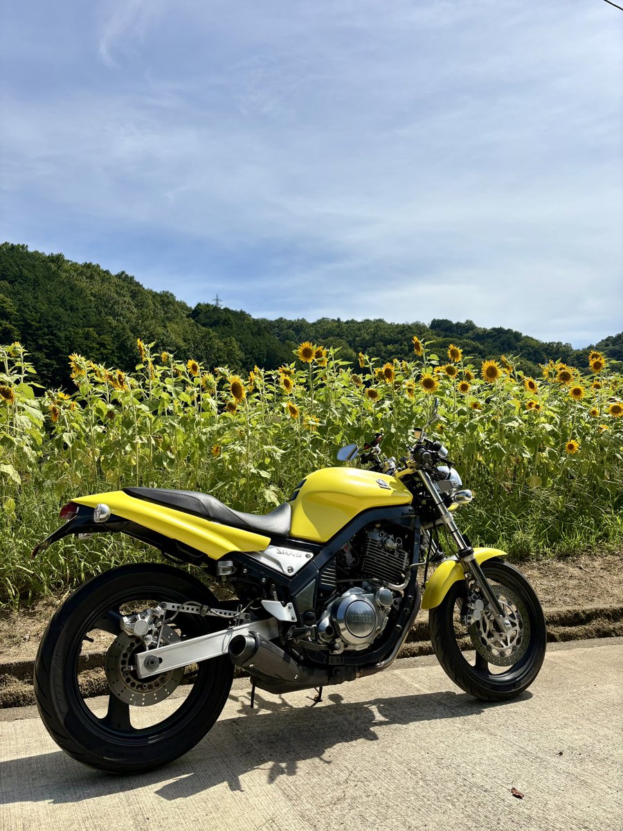 wheels_90's tweet photo. 帰宅！
SRXは楽しいです。 https://t.co/cG2FVJ8Nty