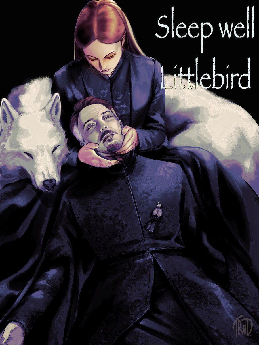 me_trod's tweet photo. Sleep well littlebird #asoiaf #got #fanart https://t.co/dsd7wEJSdL