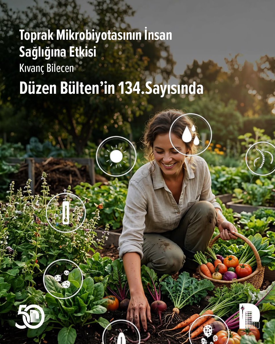 DLaboratuvari's tweet photo. ✍🏻 PAZAR OKUMASI: Bu yazının konusu makalenin sonuçları tarım tarafından bizlerin uzun zamandır “AMAN DİKKAT” dediğimiz bir konunun aslında ne kadar somut bir şekilde sağlığımızı etkilediğini gözler önüne seriyor!

🏠 Evlerimizde muazzam filtreli hava temizleyiciler ile evin havasını temizleyebiliyoruz, giyeceklerimizi yeni nesil makinelerimizle kolaylıkla steril edebiliyoruz, antibakteriyel sabunlar ile tüm vücudumuzu anında mikroorganizmalardan arındırabiliyoruz, yeni nesil temizlik malzemeleri ile bütün evin neredeyse “steril” olması çok kolay, antibiyotikler ise eskisi kadar olmasa da şeker kıvamında herkesin elinde..

🧼 Kendi doğamıza biraz aykırı olan bu “temizlik” hali beraberinde dengesiz bir bağışıklık sistemi ile birlikte astım, çeşitli alerjiler ve otoimmün hastalıkları tetikliyor ki biz bunu “HİJYEN HİPOTEZİ” olarak biliyoruz ancak bu başka bir yazının konusu olsun. 

🌾 Burada asıl konu her şeyi kontrol ettiğimizi zannederken pazardan ya da marketten aldığımız et ve süt ürünlerinin ya da meyve ve sebzelerin nasıl bir üretim sürecinden geçtiğinden haberimiz var mı? Hatta aynı tornadan çıkmış gibi görünen ve de esasen doğanın belki de doğal akışına bir miktar aykırı olan bu zirai ürünlerin üretim süreçlerinin aslında dolaylı olarak bize ne kadar zarar verdiğinin farkında mıyız? 

👉🏻 Prof Dr.Kıvanç Bilecen’in “Toprak Mikrobiotasının İnsan Sağlığına Etkisi” yazısı ile gelin toprak özelinde buna biraz bakalım!

🔺Toprak Sağlığı Nedir ve Neden Bu Kadar Önemlidir?
🔺Mikrobiyota ve mikrobiyom nedir?
🔺Toprak Mikrobiyotasını Neler Tehdit Ediyor?
🔺Ciddi bir tehdit kaynağı: Veteriner antibiyotikleri ve hayvan gübresi 
🔺Bu vahim tabloya eklenen diğer unsurlar: İklim değişikliği ve yoğun tarım uygulamaları 
🔺Toprak Mikrobiyotasının Bozulması Bizi Neden İlgilendirsin?
🔺Topraktaki Patojenler Nerede, Nasıl Dağılıyor?

🌱 Toprağı Korumak İnsan Sağlığını Korumaktır! 👉🏻 Araştırmalar sonucunda elde edilen anlamlı veriler, toprak biyoçeşitliliğini korumanın ve geliştirmenin sadece entelektüel bir çevre meselesi olmadığını; aynı zamanda do��rudan bir halk sağlığı meselesi olduğunu ortaya koymaktadır. 

❓PEKİ NE YAPILABİLİR?

🔗 Prof Dr.Kıvanç Bilecen’in yazısının tamamı 134. Bültenimizde! 👉🏻 https://t.co/6QhRMQc72h

#DüzenSağlıkGrubu