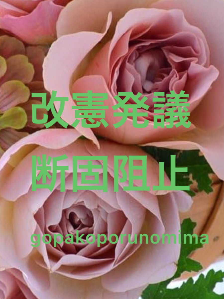 smEMkxiKSng7s9I's tweet photo. 統一教会に支配された政府による
【クーデター】は
『皇室典範改悪』まできてしまった
そして遂に『国民投票法改悪』も決まり

次は本丸の
【日本国憲法の破壊】だ

#日本国憲法は日本の未来のための最後の砦

👊絶対に改憲発議させてはいけない👊 https://t.co/jleQXREWqK