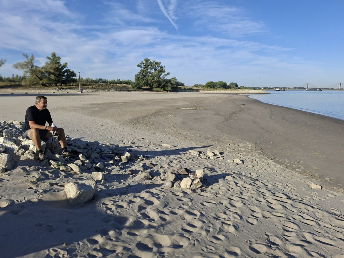 SanderKerkhof's tweet photo. 10k stappen 🐾 ochtendwandeling met #Weimaraner naar de thans brede #Waal stranden. https://t.co/mHwBbkw3j8
