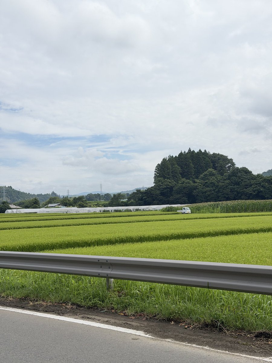 lylasan1202's tweet photo. カメムシ退治してきましたー🪲
お土産のワンコビール🍺 https://t.co/KTxI7e8OKT