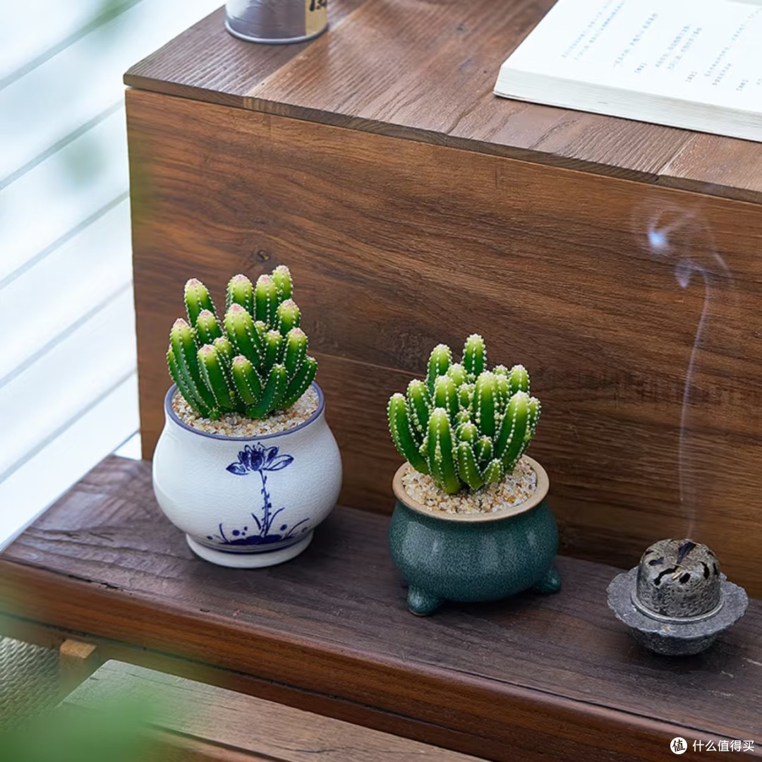 carroll_hound's tweet photo. Tiny desk tweak, big vibe lift! A potted succulent + warm desk lamp = my new favorite work spot. No clutter, just calm focus. https://t.co/5tUrBfYnAb