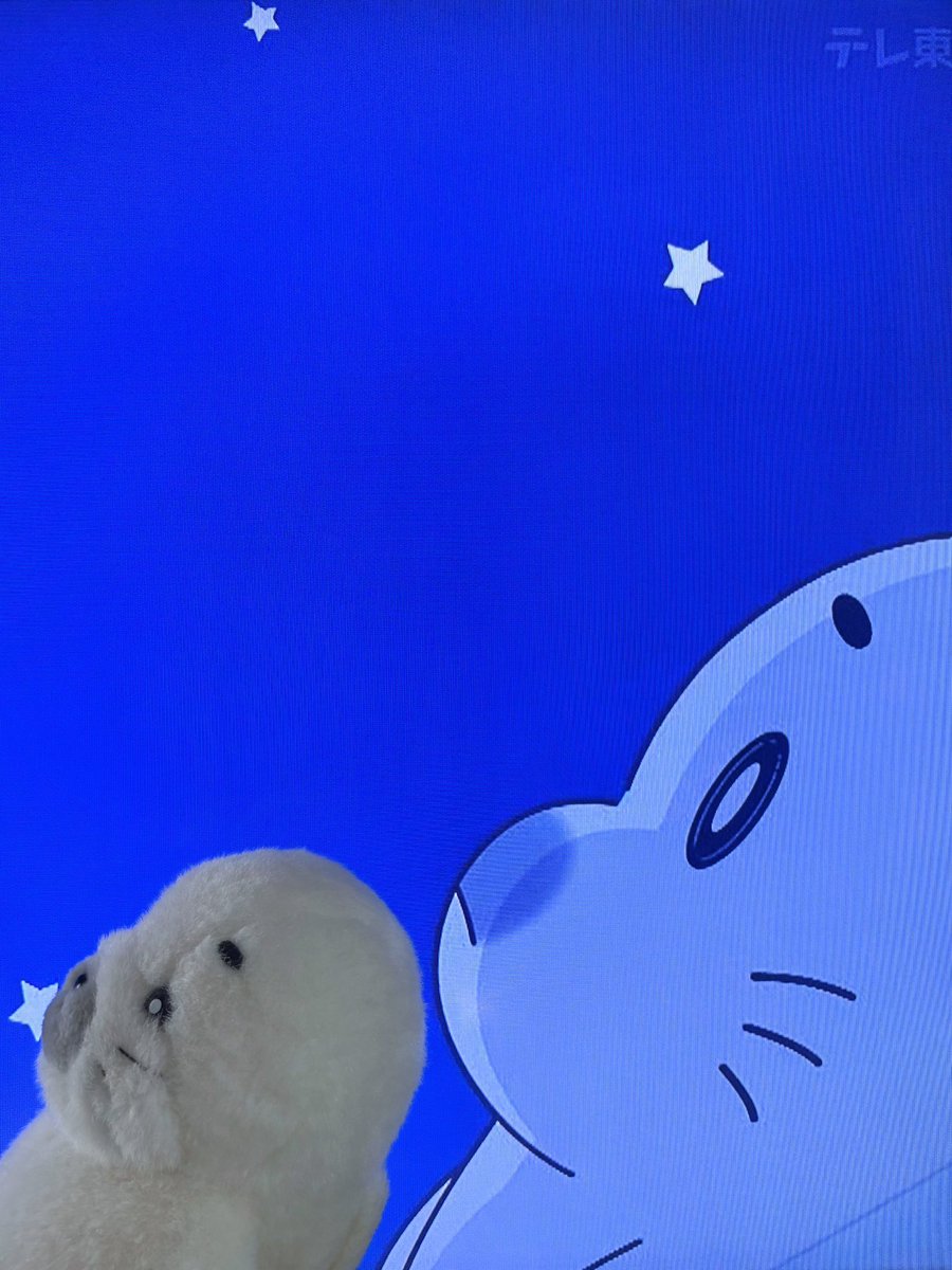 hina_hina0522's tweet photo. #小3アシベQQゴマちゃん 
キュキュキュ〜ゥ

この3音にどんな感情が含まれてるのかな？
ちょっと寂しいような…大好きな海でたくさん泳いで満足しているよ��な…

星空の下、黄昏るゴマちゃんは私の心をキューっと締め付ける🩵🩵🩵

#ゴマちゃん #少年アシベ #アザラシ https://t.co/MEy4nDdeqk
