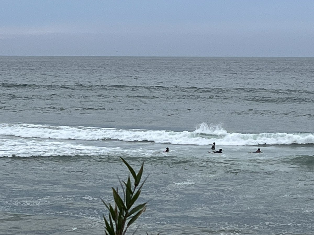 kz400mk_ii's tweet photo. 台風の影響だか 割と強めの波ですなー
サーファーの方々にとっては良き波かな🌊
まさか、
二見でサーフィン出来る時が来るとは…
曇り模様の糸島半島
現場からは以上です🫡
#zrx https://t.co/RmoaeARISp