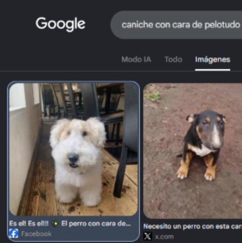 jiconene's tweet photo. lo encontre https://t.co/FRsXUyMD1z