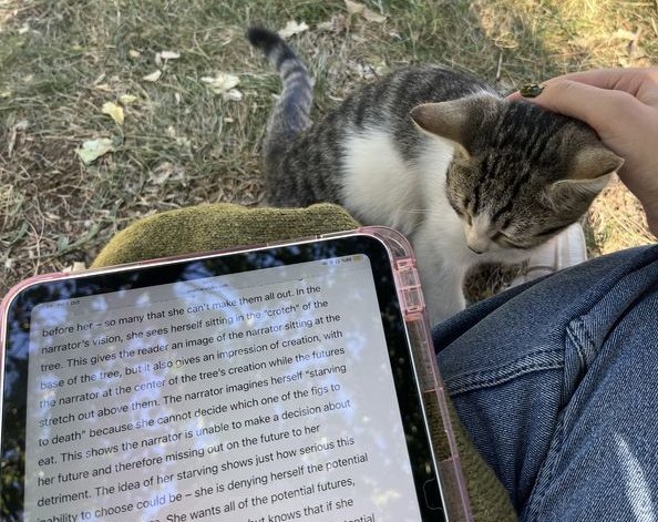 eriwritess's tweet photo. looking for mutuals⋆.𐙚⁺˖⋆

              eri • 21 • she/her

⊹  books, film, writing, photography
⊹  anime, gaming, nature, art, music
⊹  mdni, ↻ or ♡  to be moots  

#promotwt #moothunt #filmtwt #movietwt #booktwt #anitwt https://t.co/HlkNmQ148K