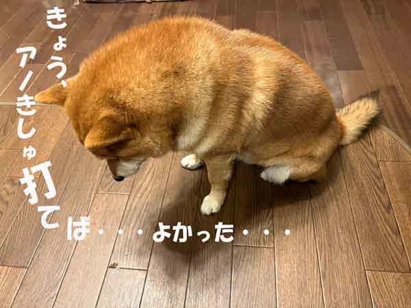 MGM198769633347's tweet photo. 📢遊技時の音量は1⃣or2⃣
マル金店長です🤬

お盆🎵真っ只中
ちょっち戦績調子悪い方

当店・・・試してみてはどぅ⁉️

パチンコ

💨・・・爆音リーチ演出
⚡️役物合体⇔分離を繰り返し
㊗️当たりぃ～～

・・・・・・単発、、、、、、、、
コレって
晒しモンですよねぇ🫣

隣・後ろが爆音遊技が来たら
今の台やめます💦

爆音遊技って
Ｐ業界の「煽り運転」って感じ

ちなみに
ディスクＵＰの音量は1⃣

全国平均設定も1⃣・・・かな？
