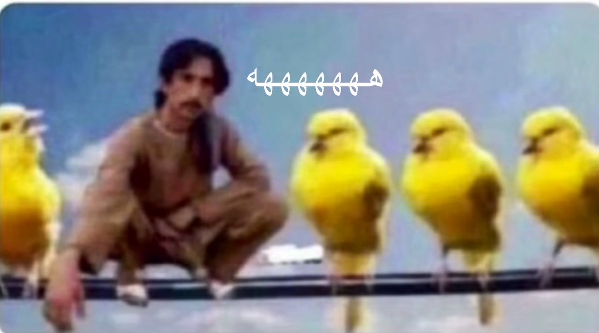 thodasapyar's tweet photo. اليوم ولد اخوي (واخوي ٢٩سنه)وأختي الصغيره يعلموني كيف العب بروبلكس https://t.co/F2caRIYZQJ