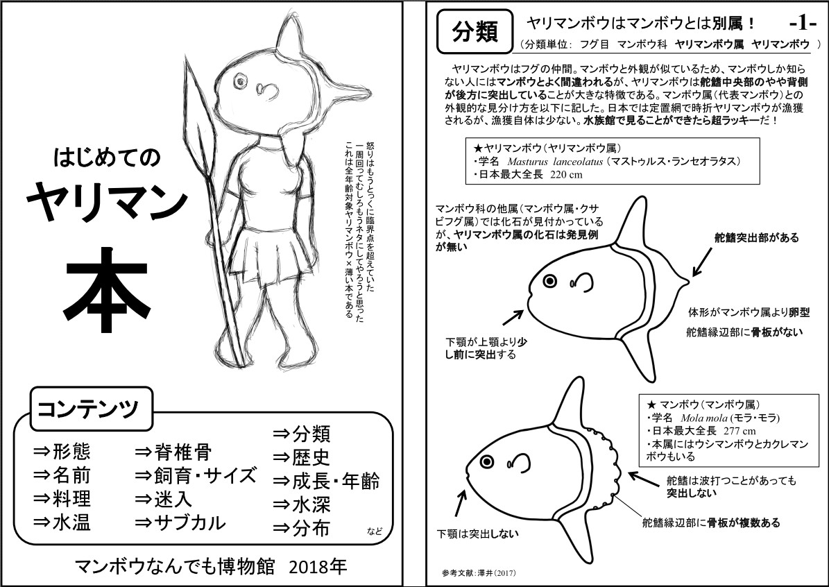 manboumuseum's tweet photo. ちなみに魚屋さんから頂いたヤリマンボウについての薄い本もあるので、薄い本と合わせて見ると幼魚サンプルの貴重さが分かります。
#評論情報系同人誌告知 #C108 https://t.co/mrU3fc5tGR