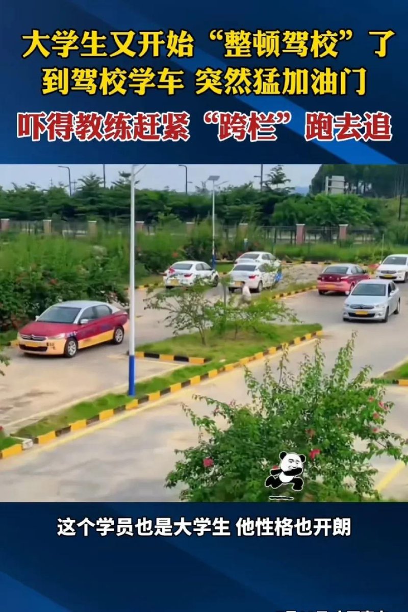 emrhkr's tweet photo. Got my driving license today! 3 months of morning practices, failed one reverse park, and now I’m ready to hit the road (kidding, still need to practice parallel parking nonstop). https://t.co/WVbGLA6fJq