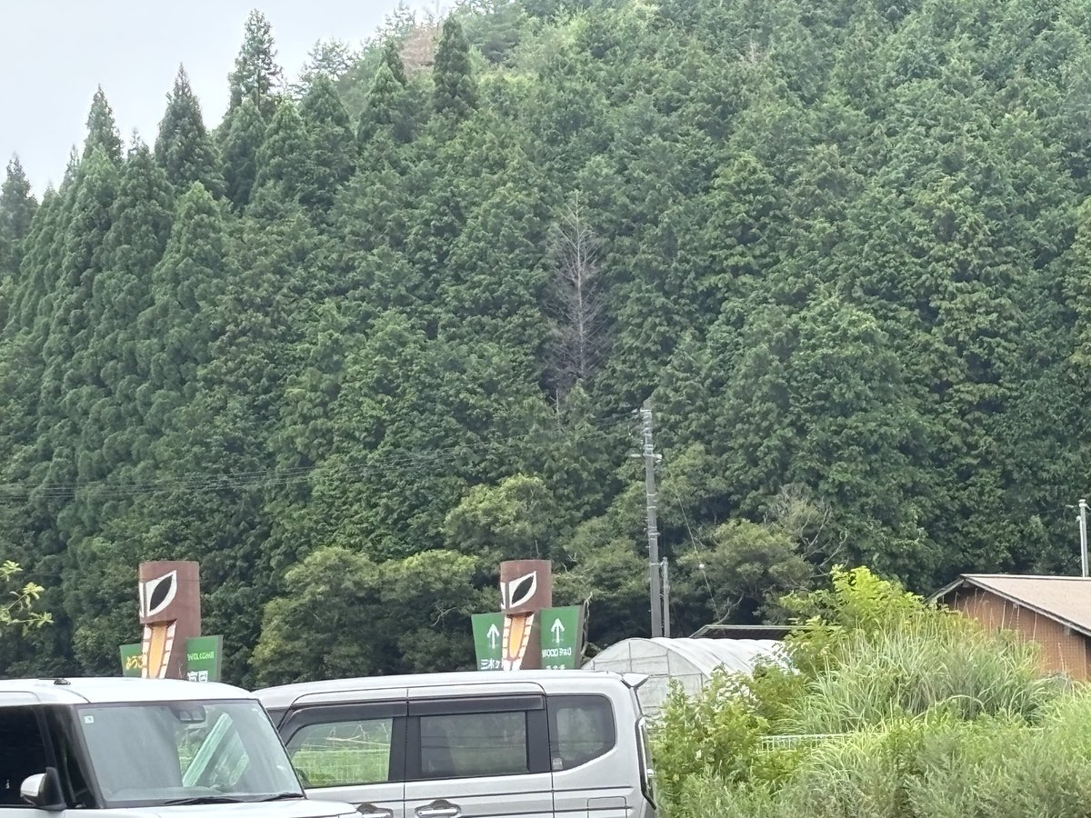 MDozono's tweet photo. なんかおるなぁ https://t.co/qLsFjTzfgz
