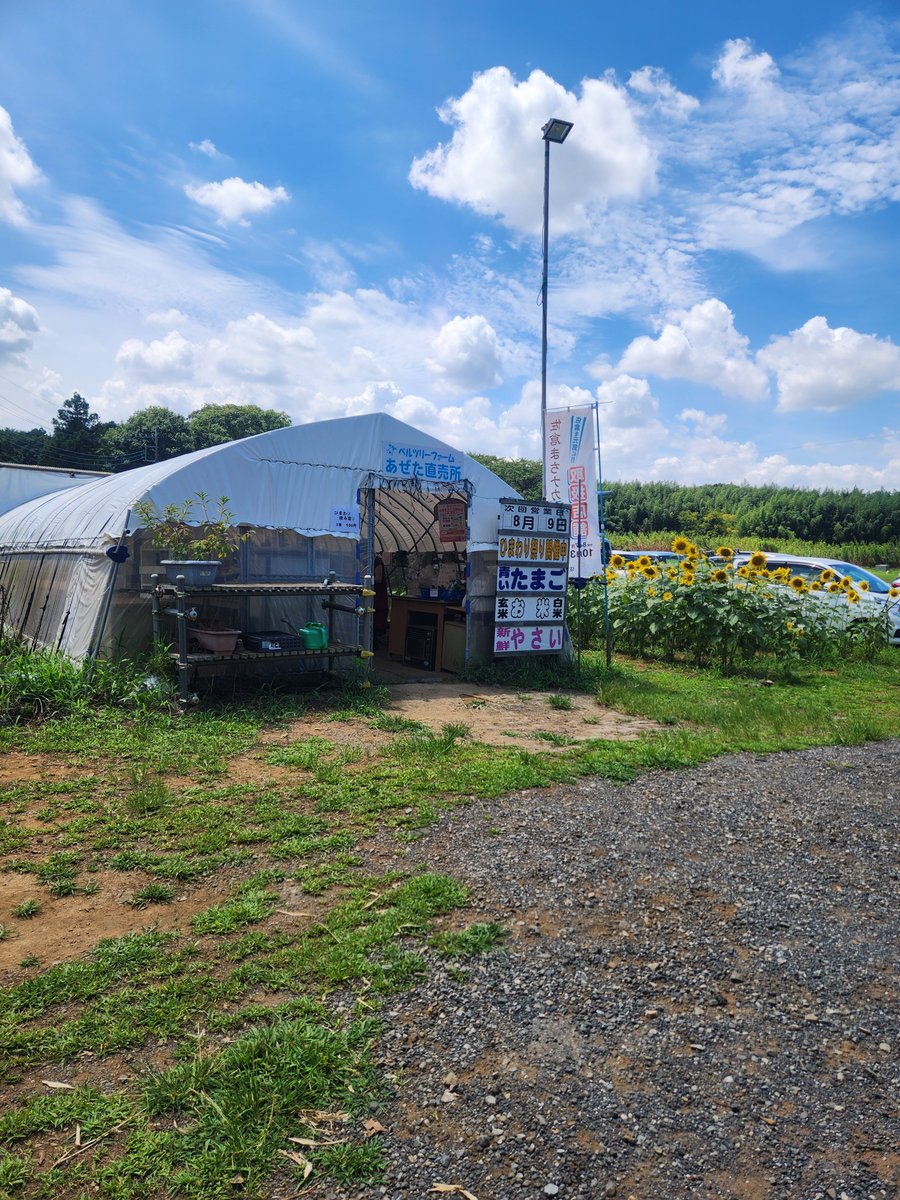 Belltree_Farm's tweet photo. 【今日もオープンしてます！ひまわり祭り17時まで】
今日も暑いですがよろしくお願いいたします！ https://t.co/5at8IZDe3Z
