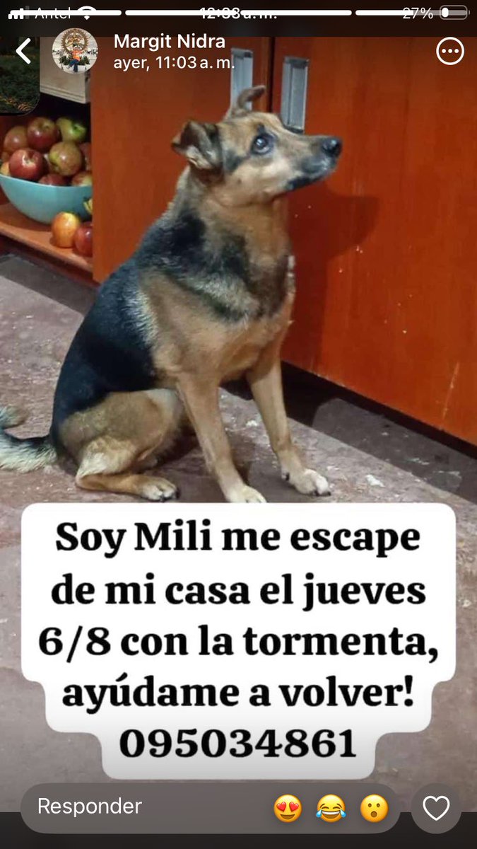 vera_nilson's tweet photo. Zona de la costa https://t.co/Bo2s60xUsX