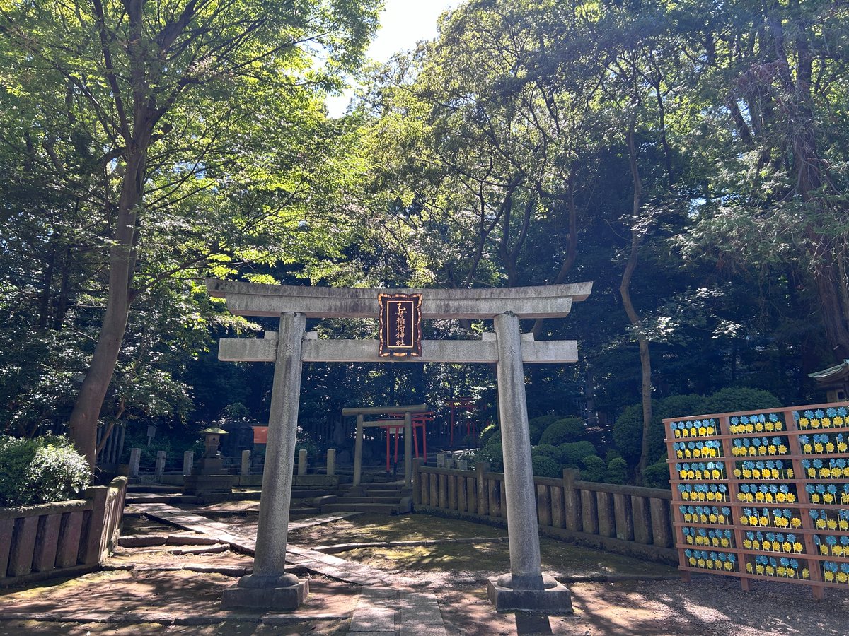ikue_21's tweet photo. 暑さのせいか混んでおらず
外国人観光客の方が多く感じました

やはり、重要な神社参拝ほど
1人または気心知れた友達と2人で参拝するのが
ベストだと考えます

1人だと100％自分に向き合い集中できるけど
大人数だとその分自分の意識が分散しちゃうので
ケースバイケースが大切ですね

#根津神社 https://t.co/IzgIH2v05P