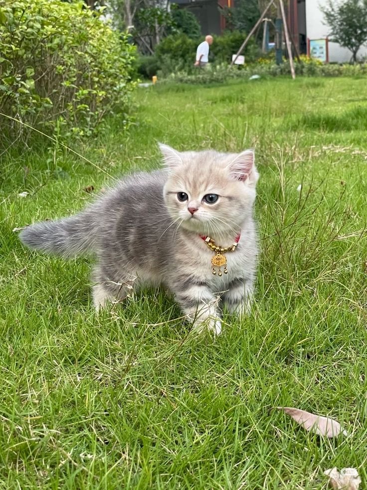kittyuniveprwj's tweet photo. Catyyy https://t.co/NjARMq6Wzy