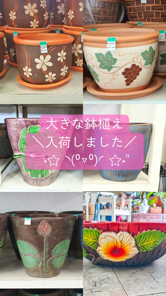 exmartshop's tweet photo. 在庫切れや僅少だった、当店1番人気の大きな植木鉢。

(」ﾟДﾟ)」＜たんさん入荷しました～！！！

金魚やメダカ、水草を育てるのにもオススメの睡蓮鉢も入荷しました～。
お盆休みに観葉植物の植替え予定の方に届け～。
https://t.co/AVCeWSTbbR
 #企業公式相互フォロー祭り https://t.co/W4qT0wd07v