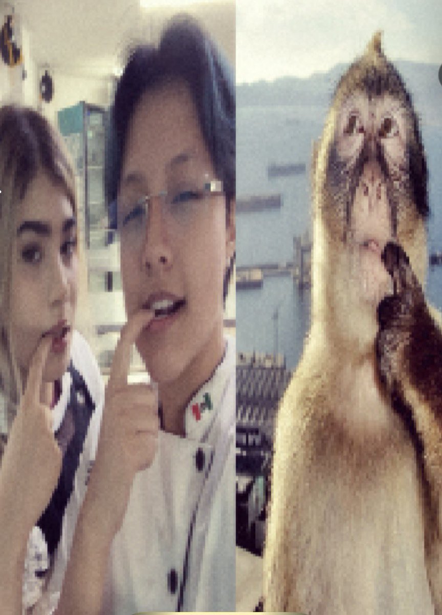 _koobito_'s tweet photo. Ma sheila miss uu😿 https://t.co/I0mYYJ8Rgf