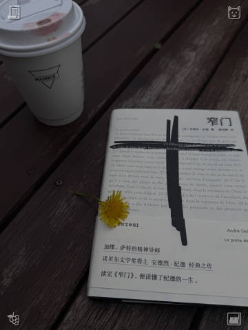 aslicra's tweet photo. Zoe strolled beside the trail where wildflowers flourished, marveling at the vivid, high-altitude blossoms that have evolved to endure the challenging mountain environment. She gathered small, distinctive seeds and carefully flattened fragile petals, hoping to enrich her expandi https://t.co/JPSqn4uZKS
