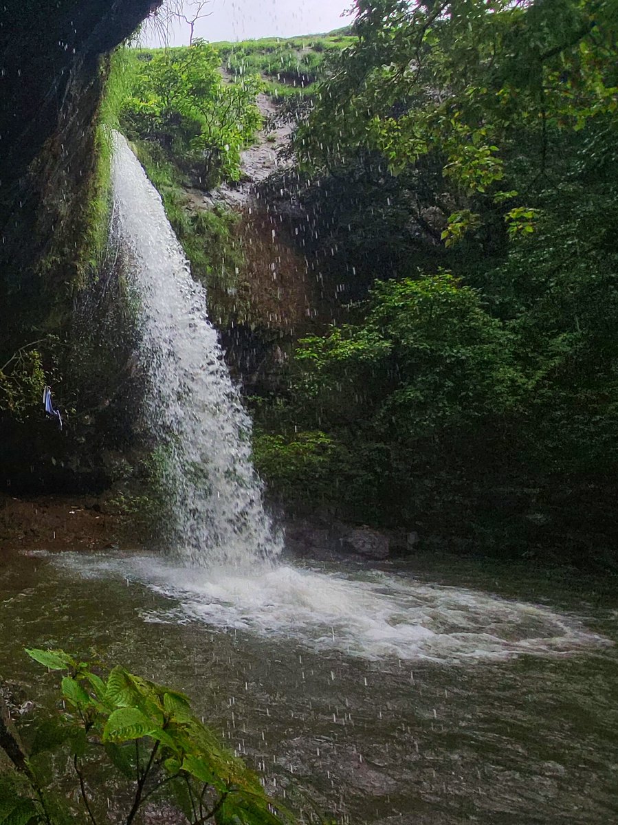 TheFindingNimo's tweet photo. जादुई सह्याद्री 🌿
#Sahyadri #Waterfall #ShotOnSnapdragon #WithGalaxy #Maval #Monsoon #Maharashtra
. https://t.co/QGsazYfezs
