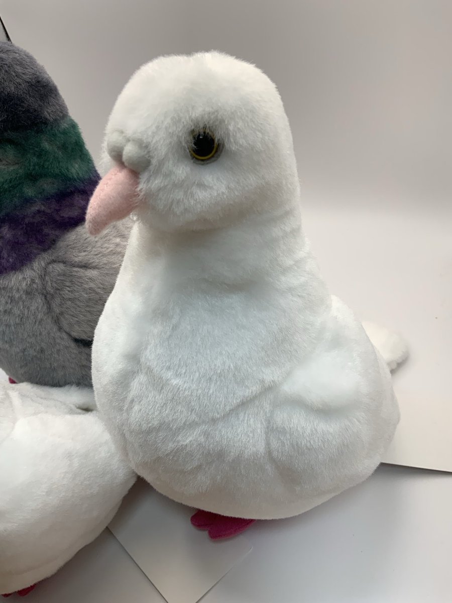 Dousin_kawaii's tweet photo. 進捗報告

もっと小さい子を作っています🧸🍨(ボールチェーン付き)

アヒルのもっと小さい子も作っています🪿

ハトが出揃いました🐦

ギンバトのクチバシのコブは取る様にお願いしていましたが、ついておりました‼️取ります‼️クルッポー🐦🕊️ https://t.co/aZfQGeAk1p