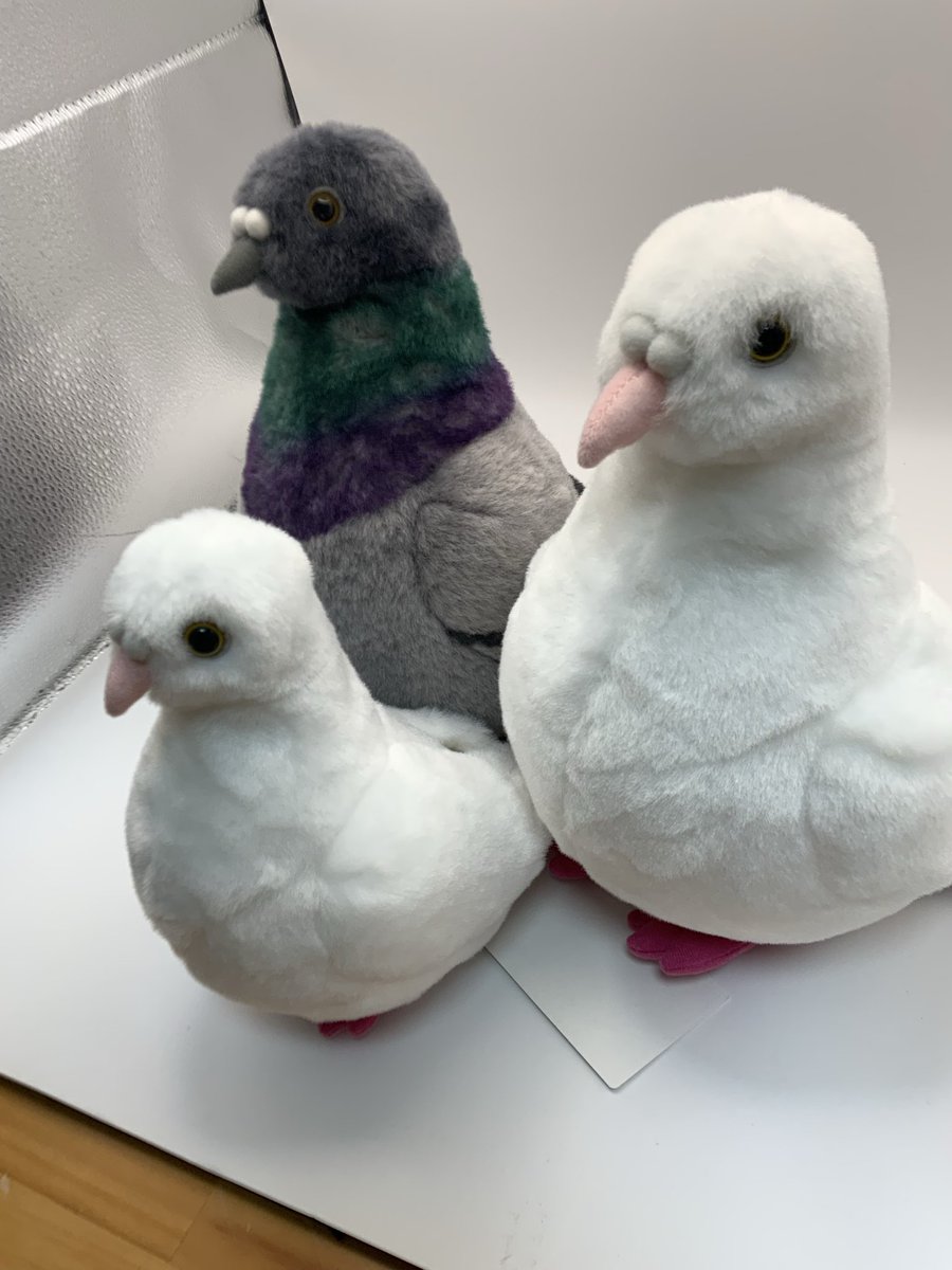 Dousin_kawaii's tweet photo. 進捗報告

もっと小さい子を作っています🧸🍨(ボールチェーン付き)

アヒルのもっと小さい子も作っています🪿

ハトが出揃いました🐦

ギンバトのクチバシのコブは取る様にお願いしていましたが、ついておりました‼️取ります‼️クルッポー🐦🕊️ https://t.co/aZfQGeAk1p