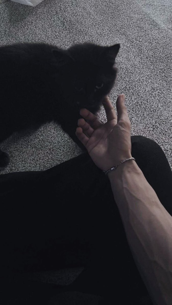 AMAZ1NGPARK3R's tweet photo. ㅤㅤㅤㅤㅤㅤ❝Se ha encontrado con un gatito negro en la calle y no ha podido evitar llevarlo consigo, le recuerda a cierta persona.❞

#FreeRol #Fakeland https://t.co/WJmFh0mqGm