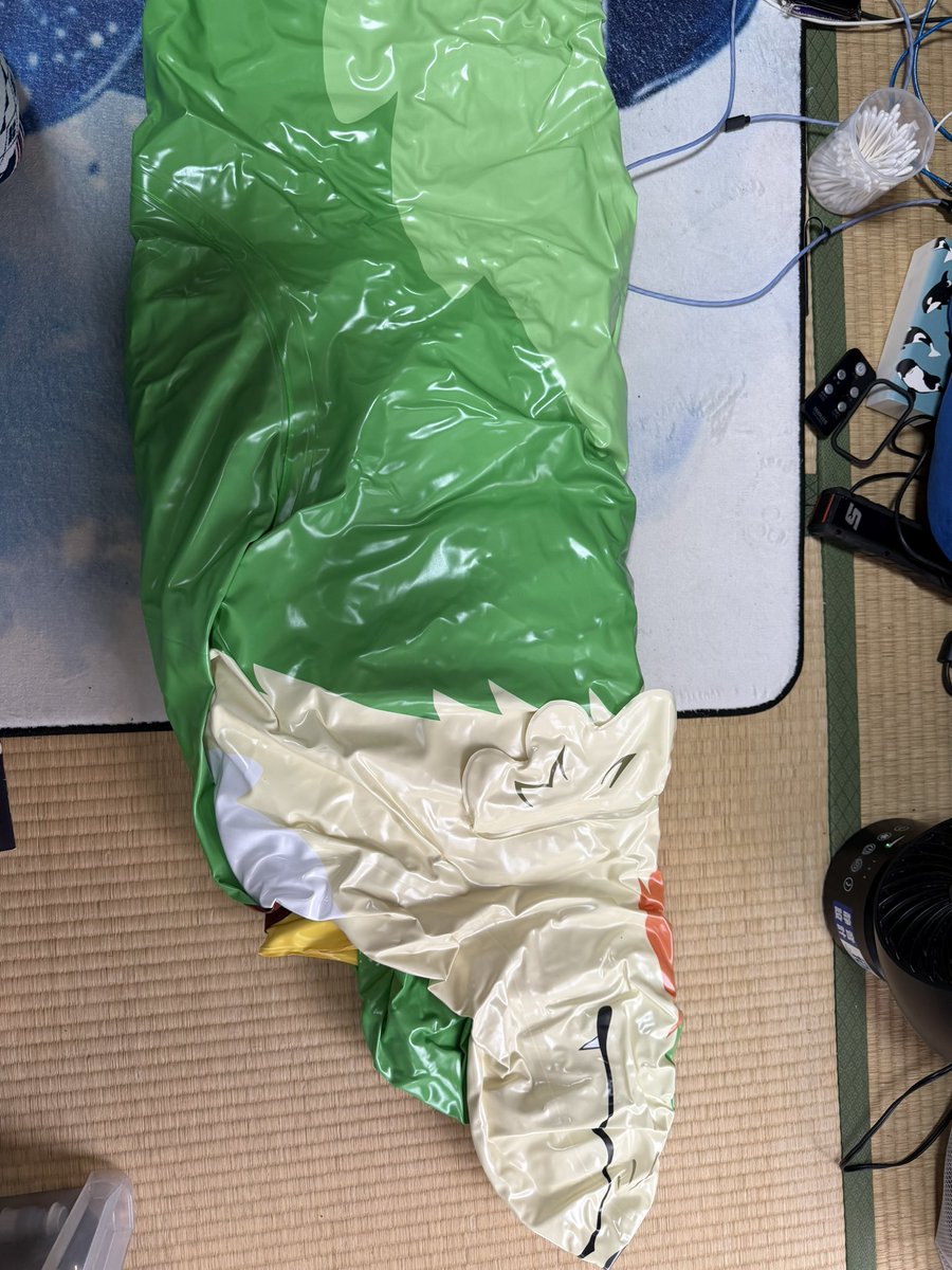 orca672200's tweet photo. 迷子かな？🤔 https://t.co/ZPDvSBHfzC