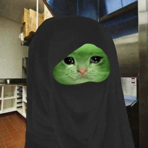 frogcatonpump's tweet photo. i made some pfp's for you guys. 

i'll add some more in the comments too if you like em. https://t.co/CrVNe5dB9C