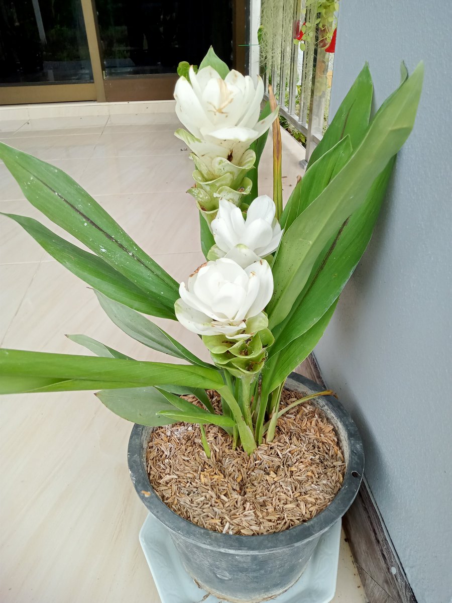 wunla1's tweet photo. อยู่กับความสบายใจ https://t.co/HSzc1qfdMr