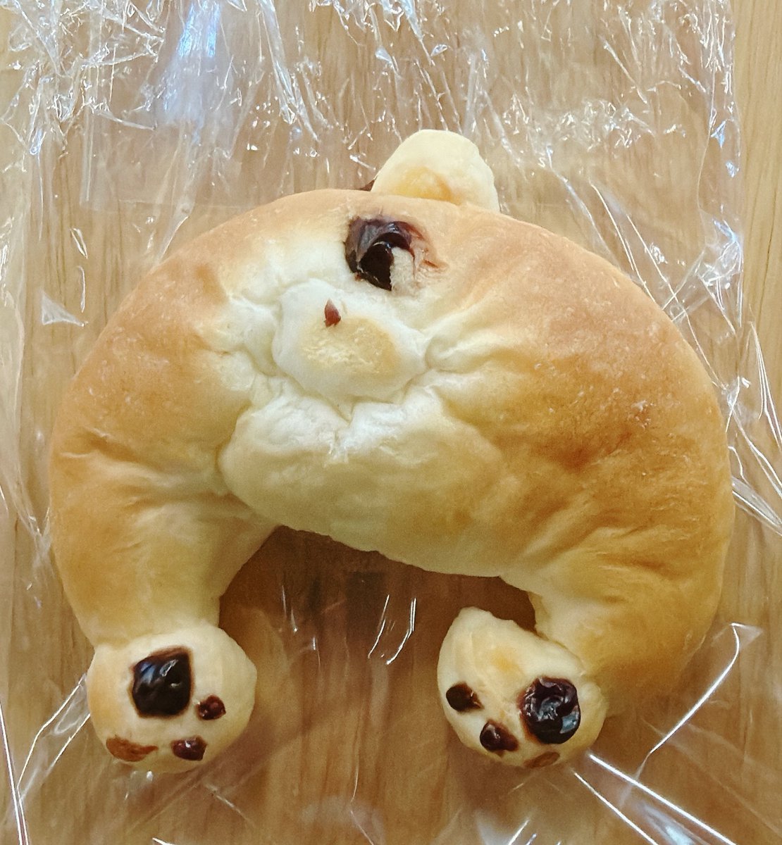 sweetroad5's tweet photo. 山梨県甲府駅近くにある「丸十パン 本店」の、柴犬のおしりを可愛くかたどり、中にはたっぷりのチョコクリームが入った、見た目もかわいらしい「ぷりチョコ柴犬」✨
https://t.co/DXgSHt7GhO https://t.co/REUkyIHisi