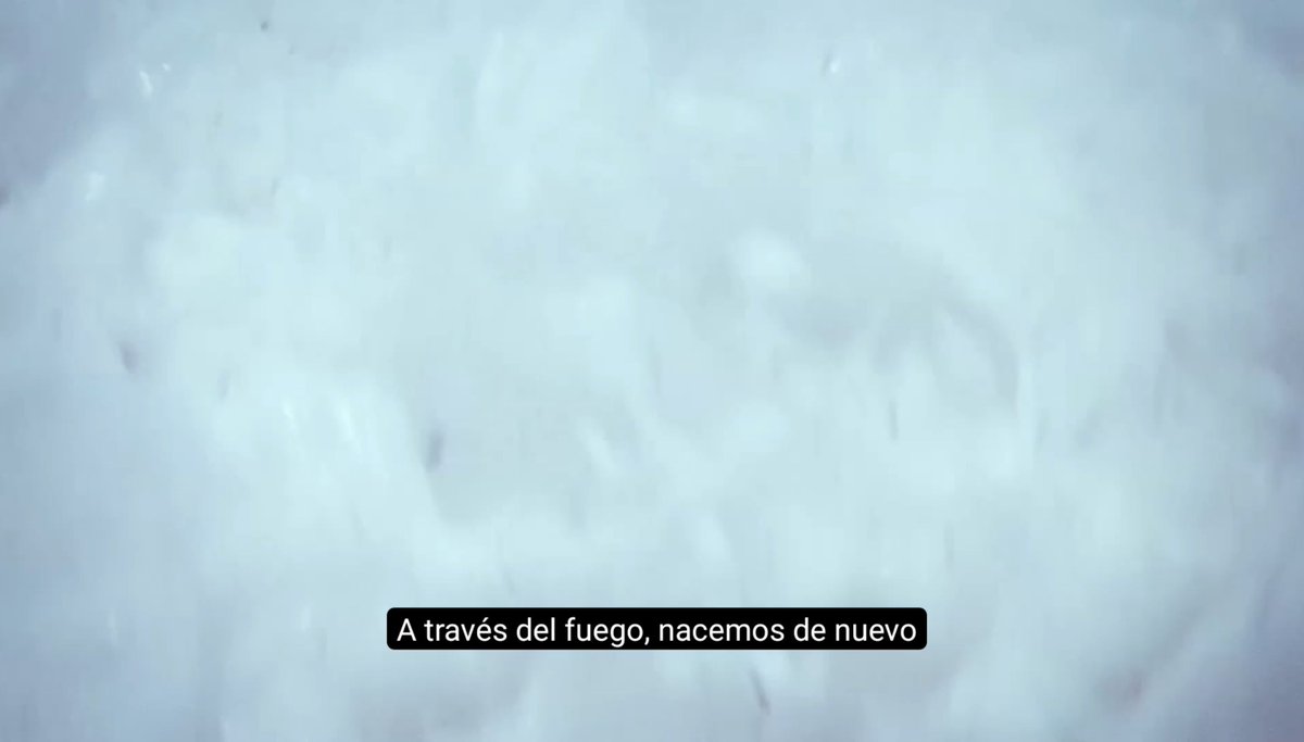 agustinacresp's tweet photo. https://t.co/3GB95Tb06k