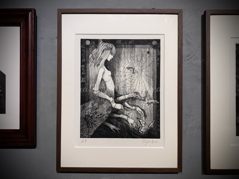 AjisaiGallery's tweet photo. 公募グループ展『 夏夜の蝶 』より出展作品をご紹介いたします。

Sayuka Bloodstone『Arachnē《アラクネ》』(Ed.A.P.) 
　
サイズ(mm)：227×158/(額装)394×308
素材：銅版画（エッチング）
制作年：2024

詳細はECサイトにてご確認いただけますと幸いです。
https://t.co/jlstQQdS6G

#gallery_hydrangea #公募展 #夏夜の蝶