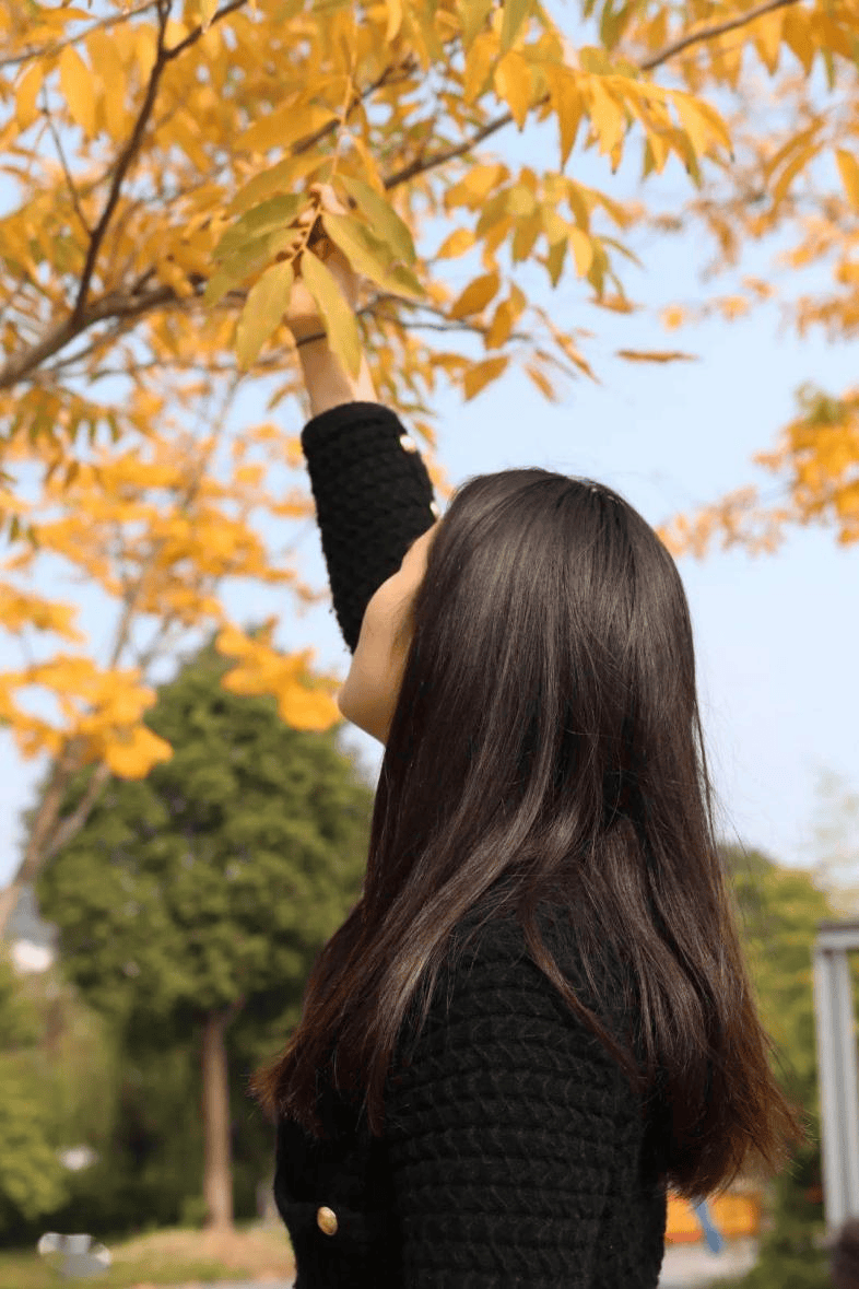russian_cute's tweet photo. Lovely sunny autumn afternoon with crisp air and golden leaves  Perfect for a casual walk! https://t.co/SSPmagKqE8