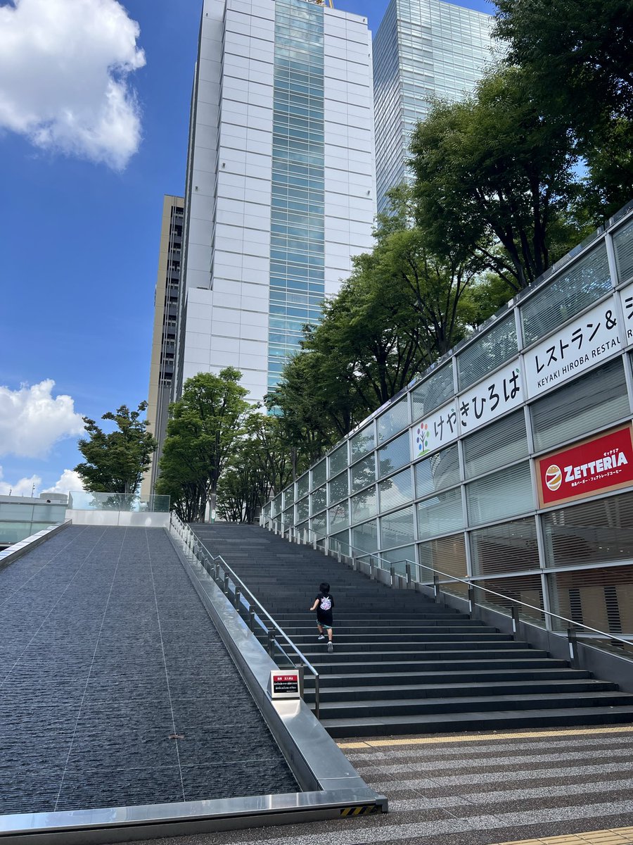 crystallattice's tweet photo. 良い天気☀️とても元気な少年(階段往復トレーニングしてた) https://t.co/bP7IryJWTo