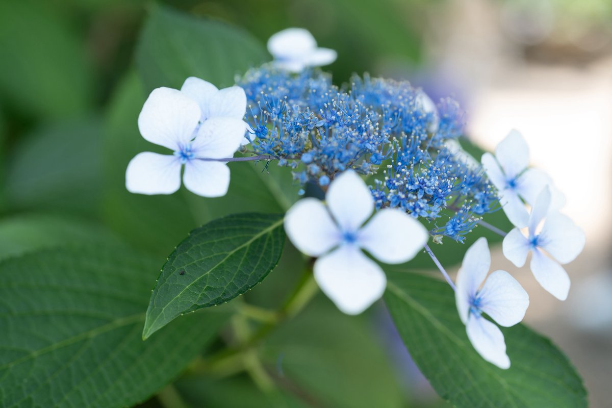 photophotomoon tweet picture