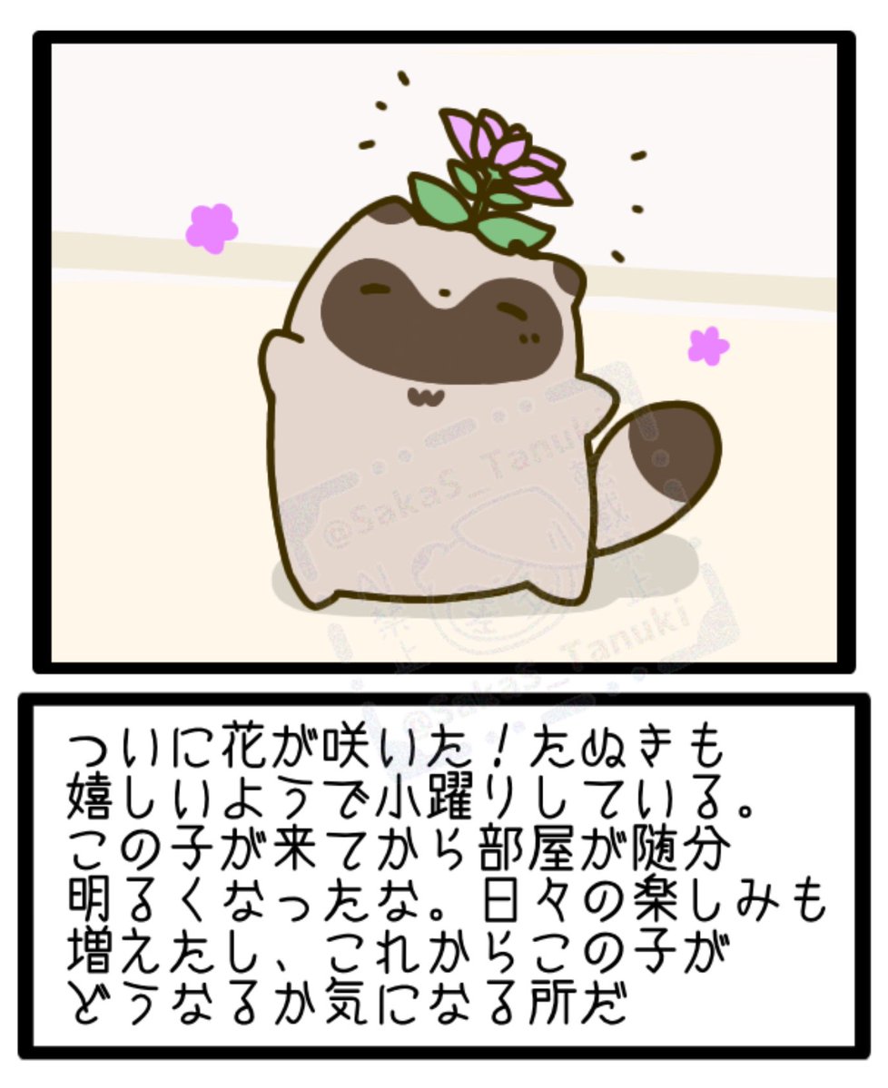 SakaS_Tanuki's tweet photo. たぬ日記 11 https://t.co/V6rRkJ2Shj