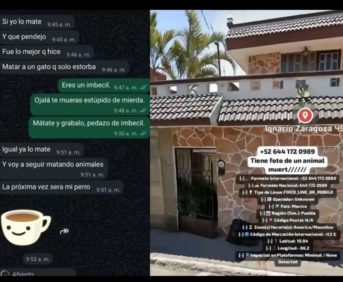 Lian_R0A's tweet photo. Hola, vengo a difundir un caso de maltrato y asesinato animal, no se mucho del caso, lo encontré en tiktok y vi que no tenía la viralizacion adecuada, la subo aquí solo con fines para ayudar a hacer justicia la cuenta original y quien tuvo contacto con el maltratador https://t.co/HZLNiMGuB7