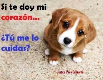 kakatuns's tweet photo. Noches https://t.co/yfTEFRtQXi
