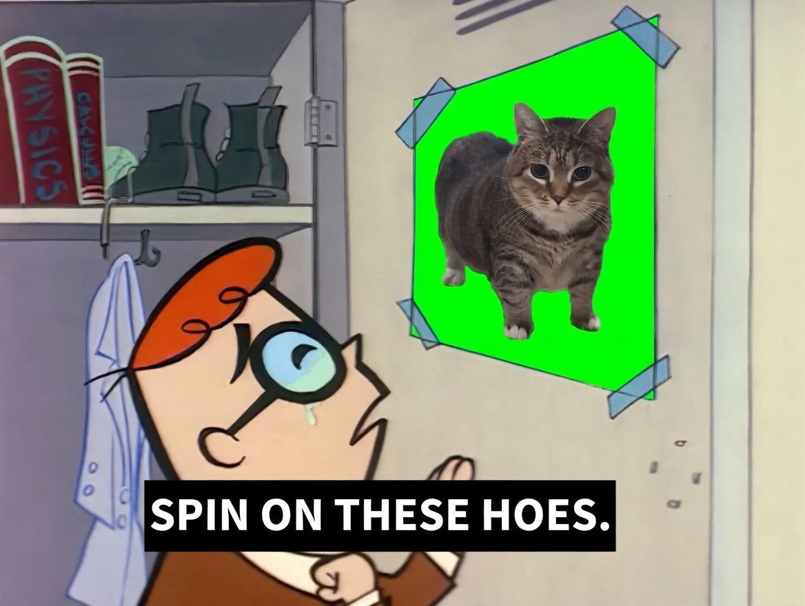 RetardsAndDegen's tweet photo. @Raydium fuck dogs, the cat is spinning! https://t.co/0icBvp5Mta