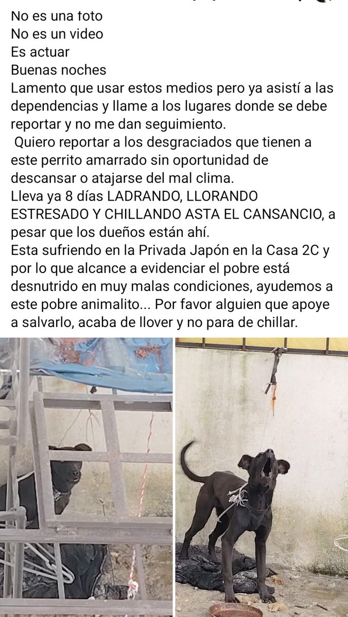 LicAnimalista's tweet photo. Atención @FiscaliaEdomex @CEPANAF @propaem_sma urge su intervención en el municipio de Huehuetoca, dirección en la imagen. CCP. @delfinagomeza https://t.co/1bliztu1AQ