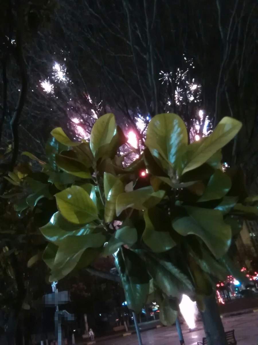 TerryYoung7's tweet photo. Just got lost on the way home and found a hidden garden. Small unexpected warm moment that made my whole day ， https://t.co/7AVV4opU90