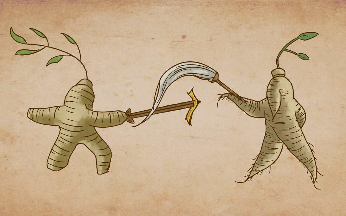 tiny_harvest's tweet photo. 【The Older is the Spicier】🫚⚔️🥕
The battles between long-lived Roots are not always bloodthirsty. The weapons they use are far more lethal than they appear. Generally, age is the key to their victory.
#rootfolk #ginger #ginseng #art https://t.co/1Lefcbmli7