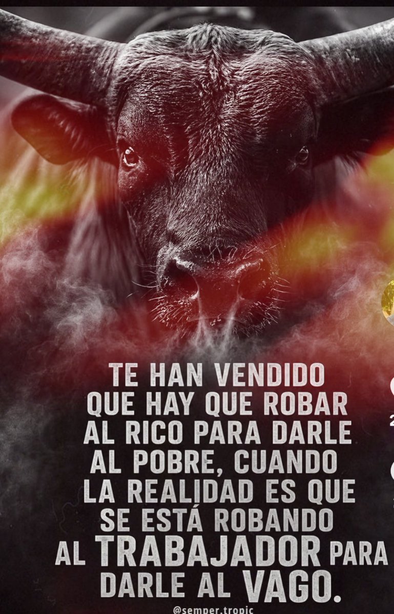 DGuirilandia's tweet photo. ╔═══ #FelizDomingo ═══╗ https://t.co/uweoGoUMZy
